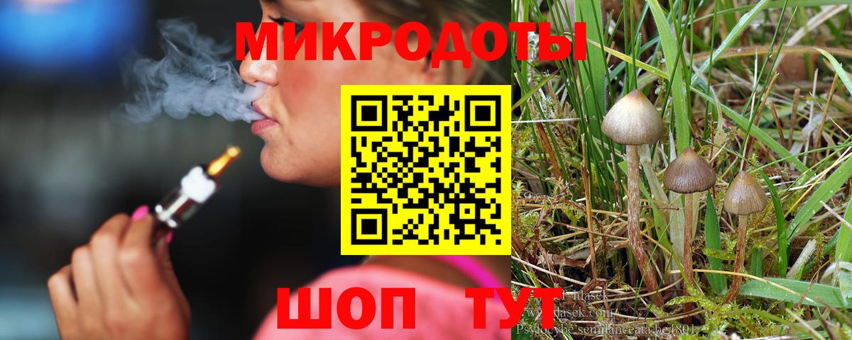 Псилоцибиновые грибы Magic Shrooms  Вход с VPN  Галлюциногенные грибы Magic Shrooms  Самара 